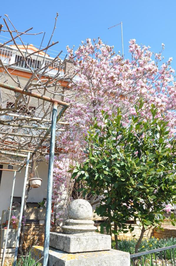 Apartman Mirna Ρόβινι Εξωτερικό φωτογραφία