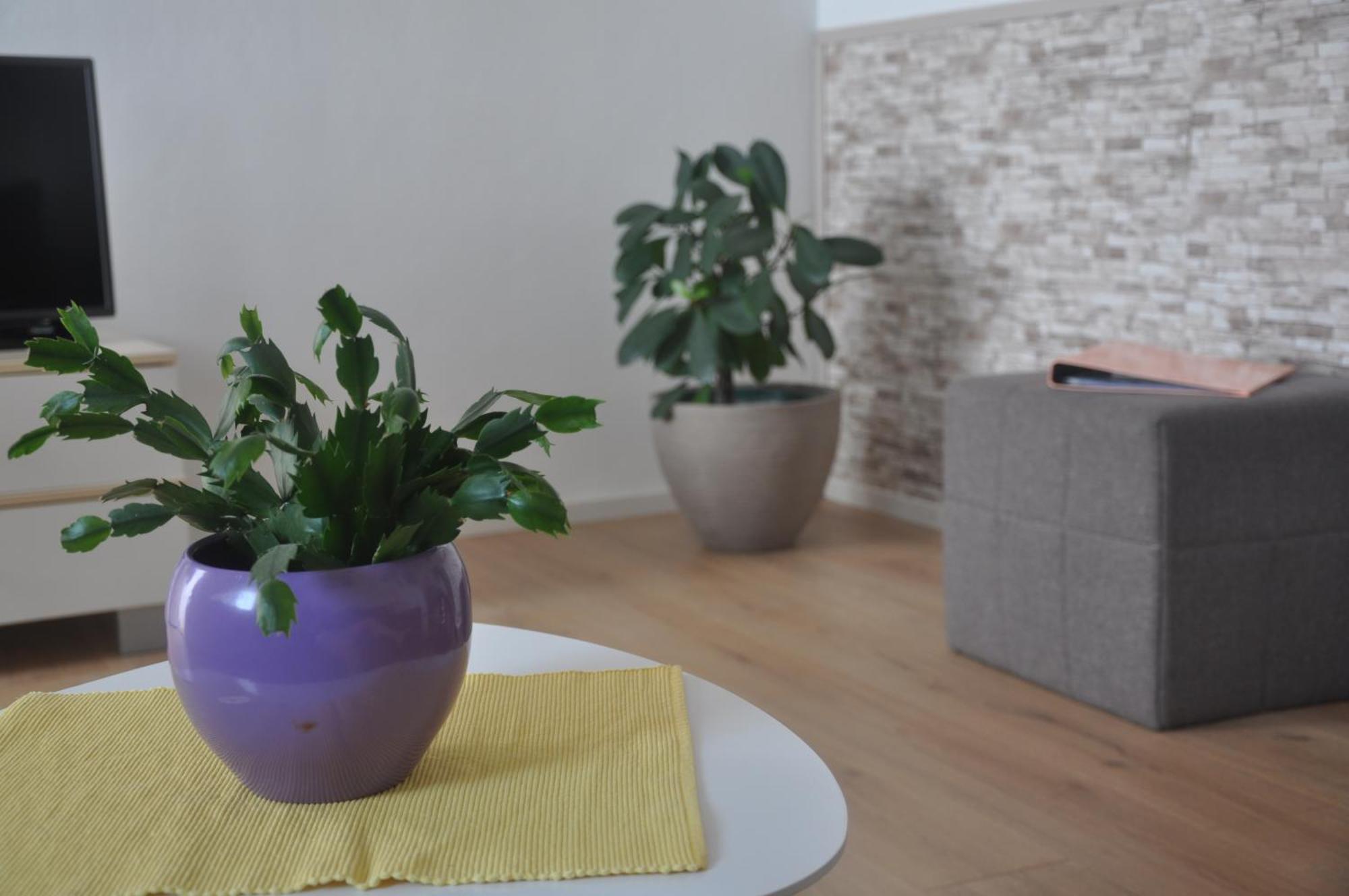 Apartman Mirna Ρόβινι Εξωτερικό φωτογραφία